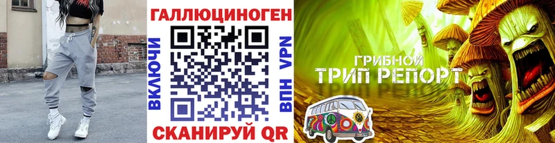 Галлюциногенные грибы Psilocybine cubensis  Алатырь 